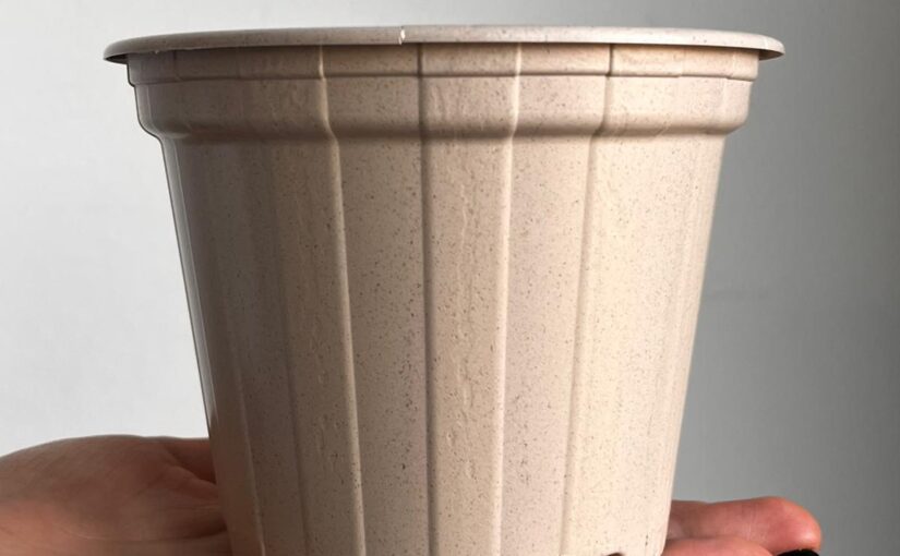 WhatsApp Image 2026-01-15 at 11.33.03 (1)