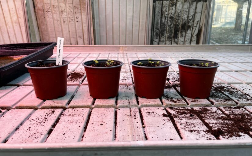 WhatsApp Image 2026-01-07 at 20.56.57