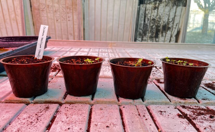 WhatsApp Image 2026-01-07 at 20.56.58 (8)